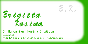 brigitta kosina business card